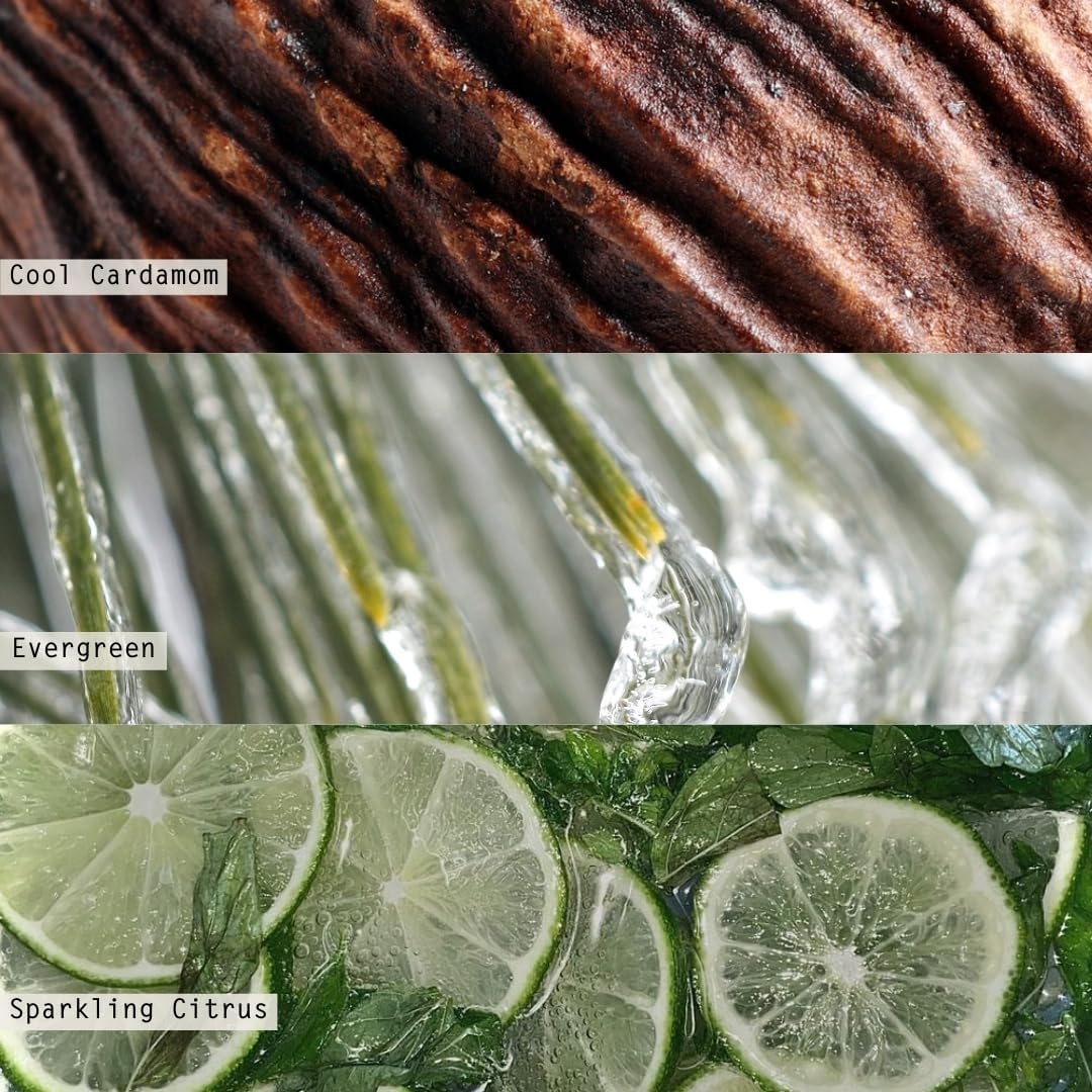 Small Aromatic Diffuser - Winter White 1.5 oz