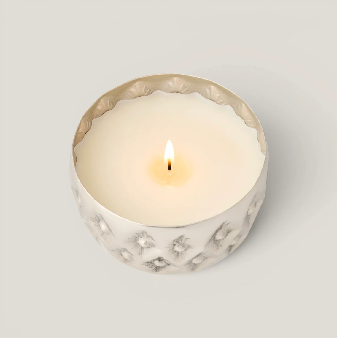 Balsam & Cedar Radiant Pressed Metal