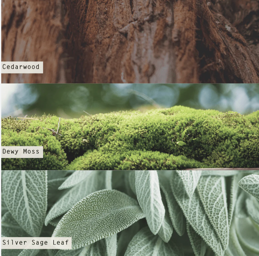 Borealis Moss Refillable Aromatic Diffuser