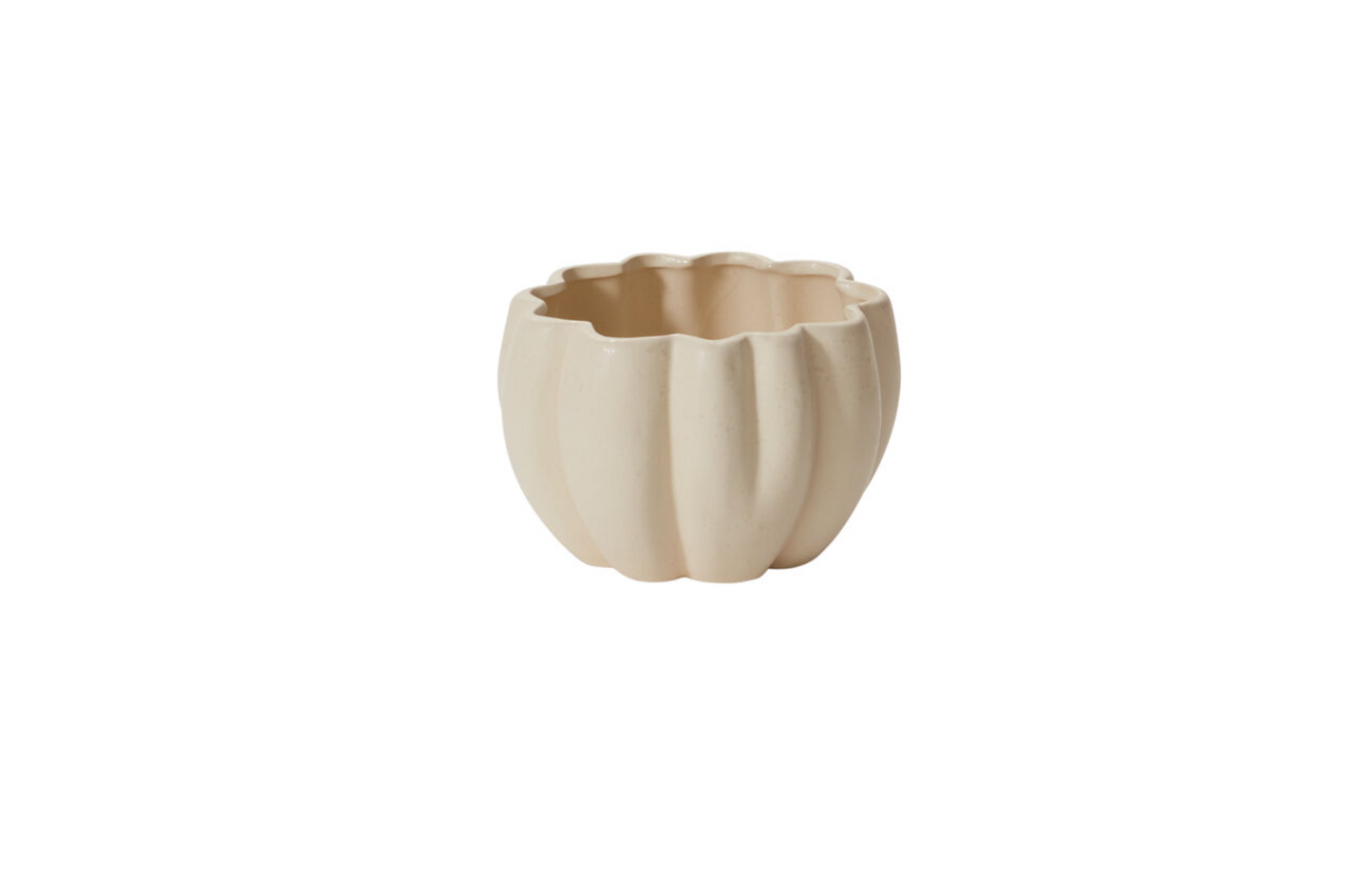 Spiced Pumpkin Pot (Off-White)