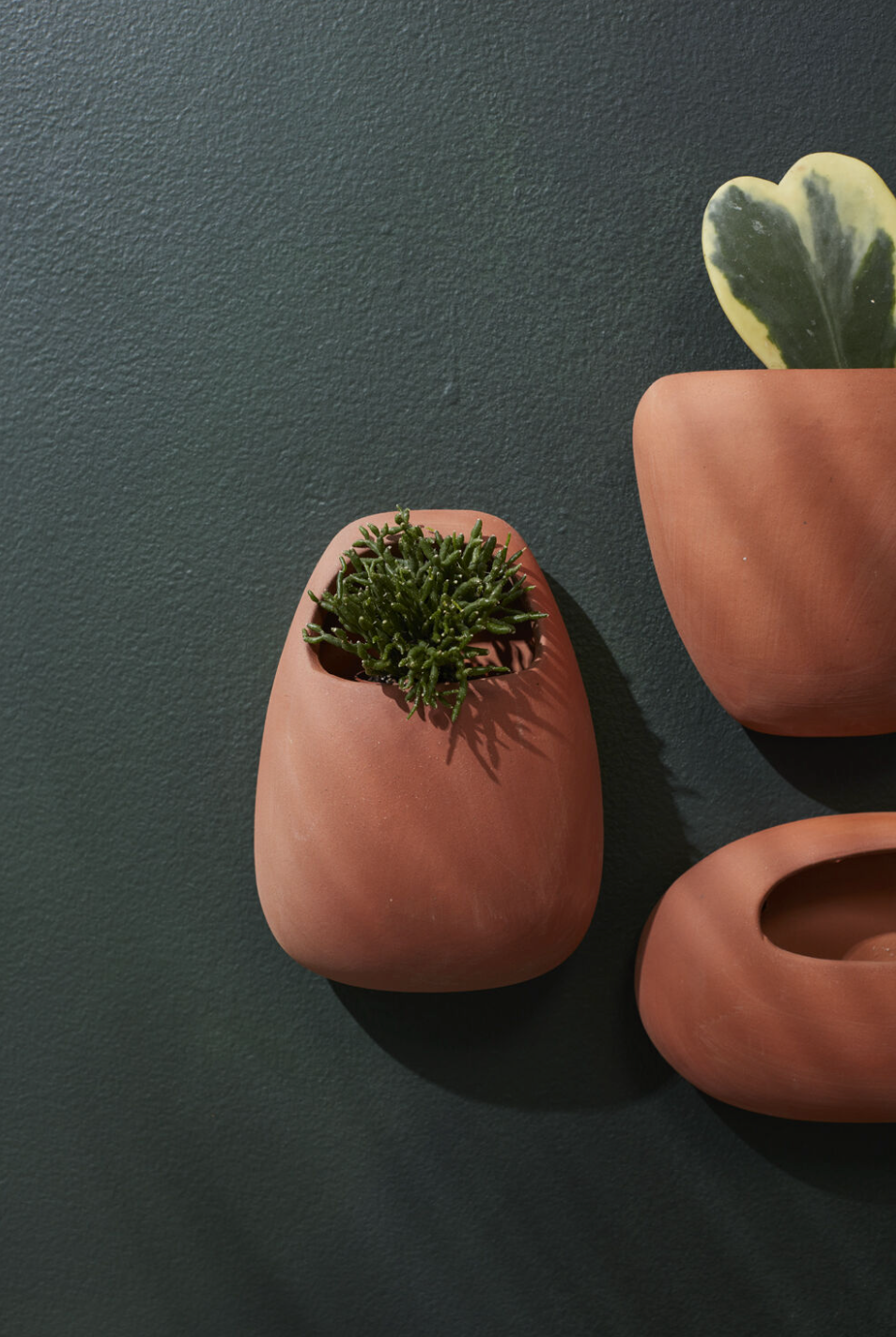 Solento Wall Planter