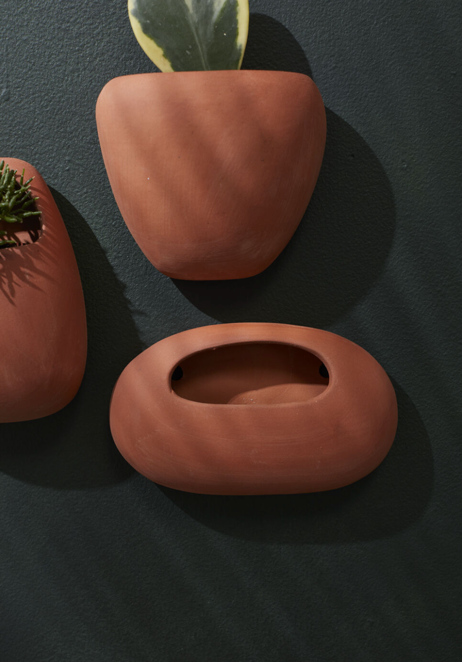 Solento Wall Planter